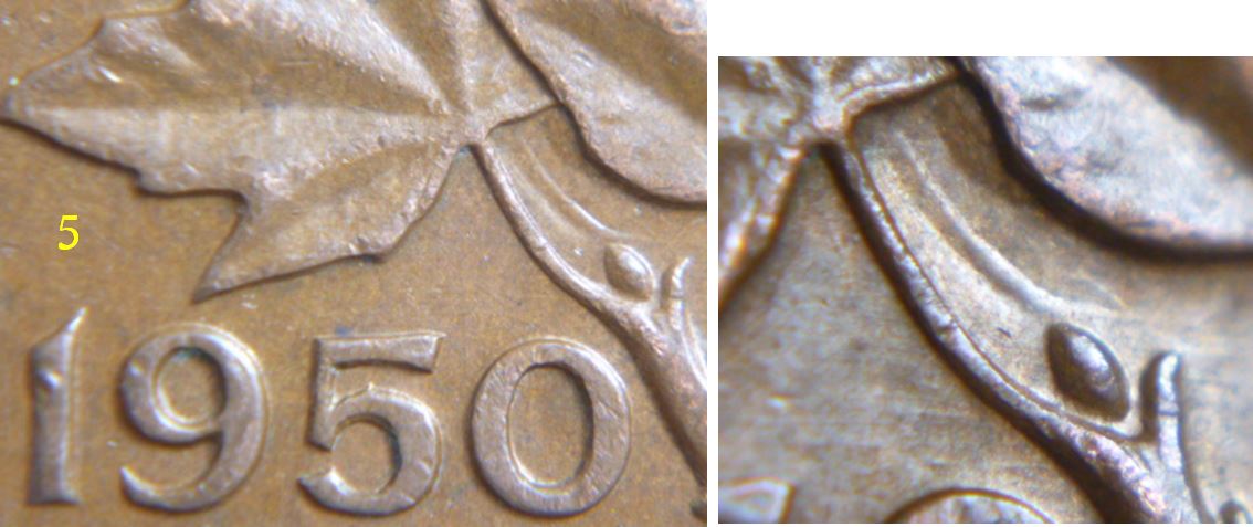 1 Cent 1950-Coin entrechoqué sous les feuilles -5.JPG