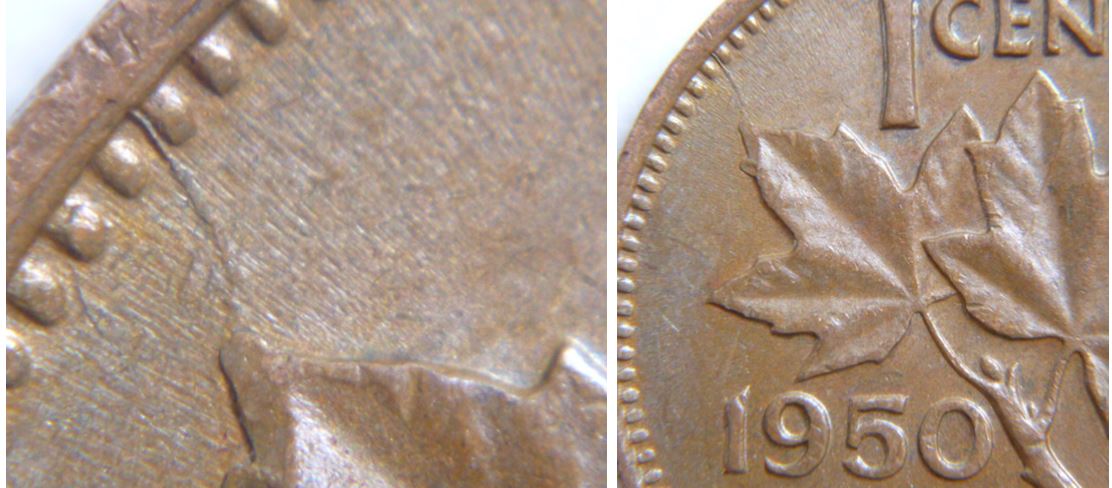 1 Cent 1950-Coin fendillé au bout feuille gauche.JPG