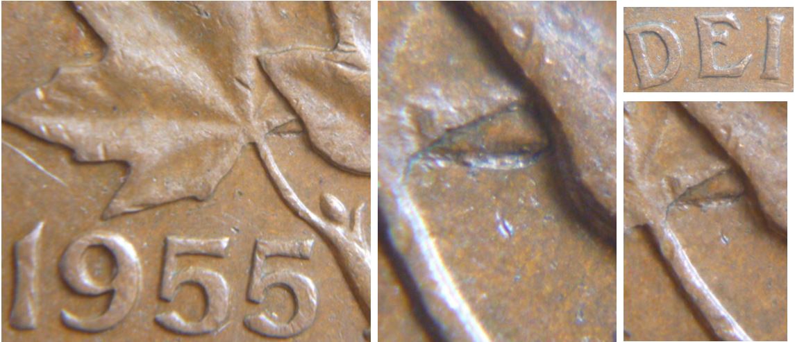 1 Cent 1955-Dommage de coin sous feuille gauche-1.JPG