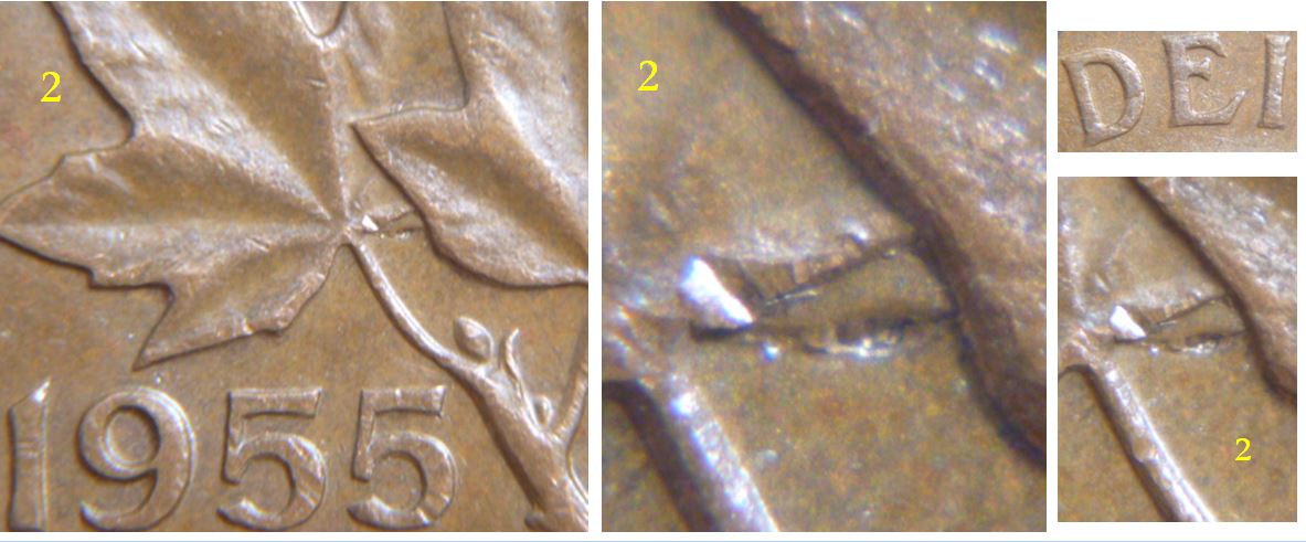 1 Cent 1955-Dommage de coin sous feuille gauche-2.JPG
