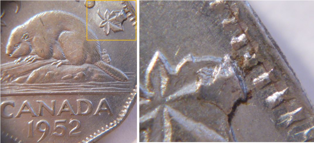 5 Cents 1952- Éclat de coin sur feuille droite-1.JPG