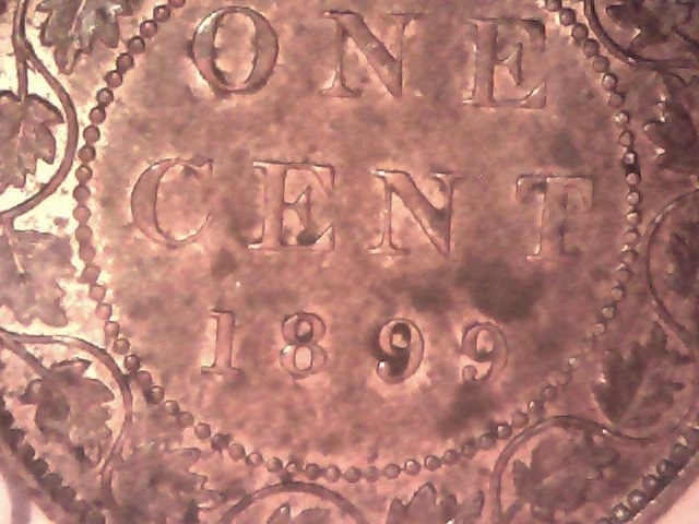 Sun Feb 25 10-13-05.jpg