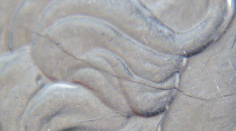 5 Cents 2004-Coin fendille sur tête de effigie-2.JPG
