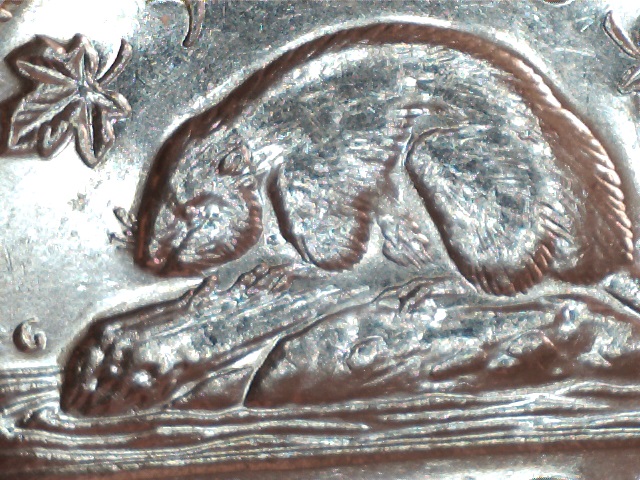 5c1977polissagemod.jpg