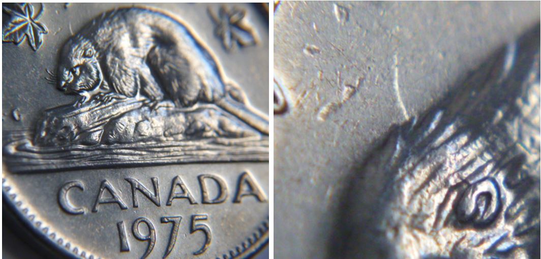 5 Cents 1975-Coin entrechoqué au dessus tête du castor.JPG