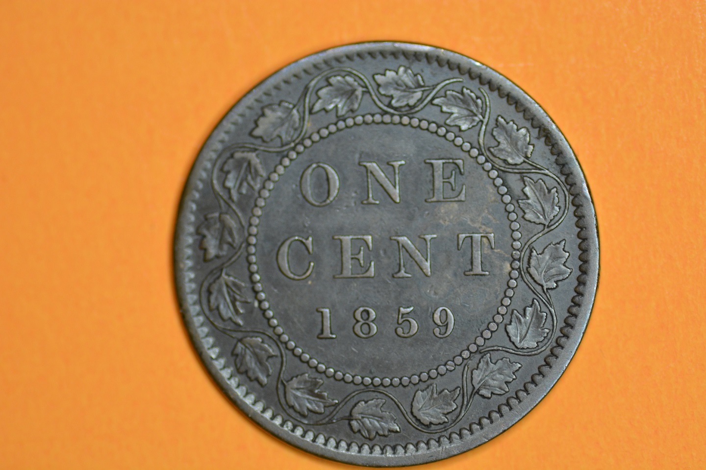 cents 1899 D9 30-04-18 005.JPG