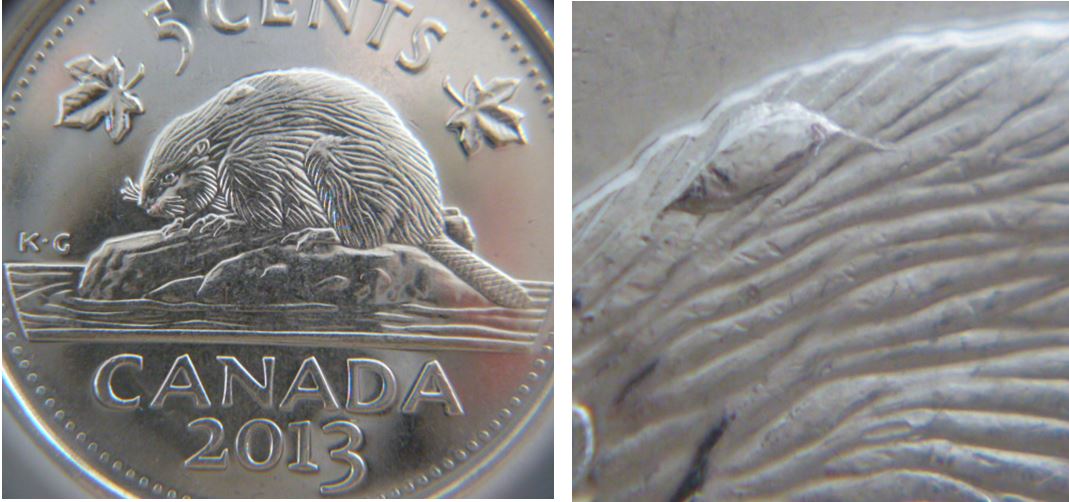 5 Cents 2013- Grosse Éclat de coin sur dos du castor.JPG