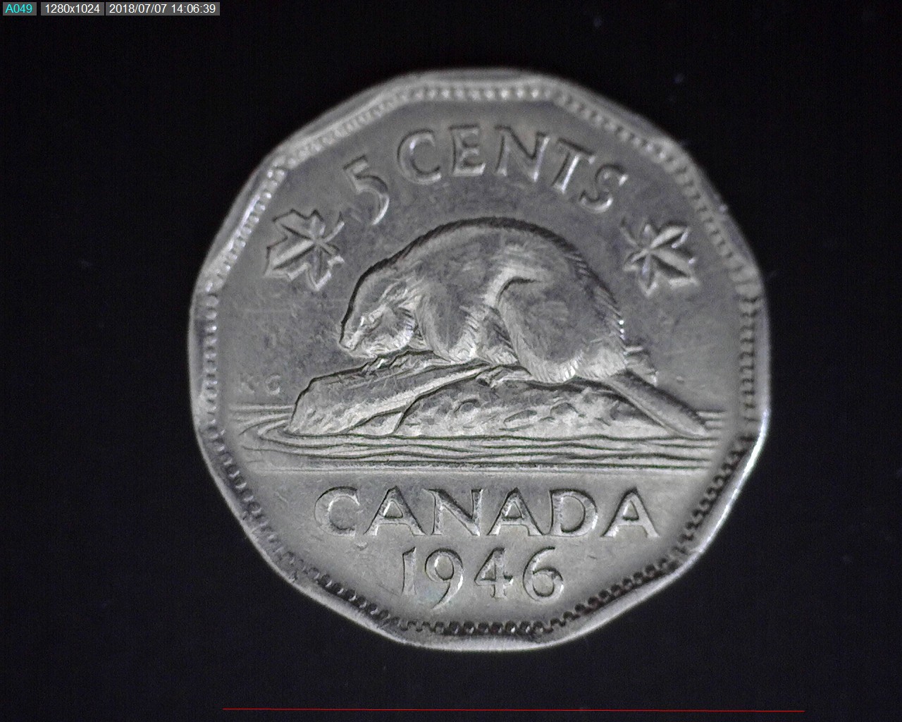 5¢ 1946 R.jpg
