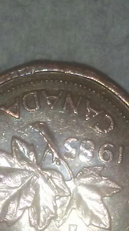 20180707_150518.jpg