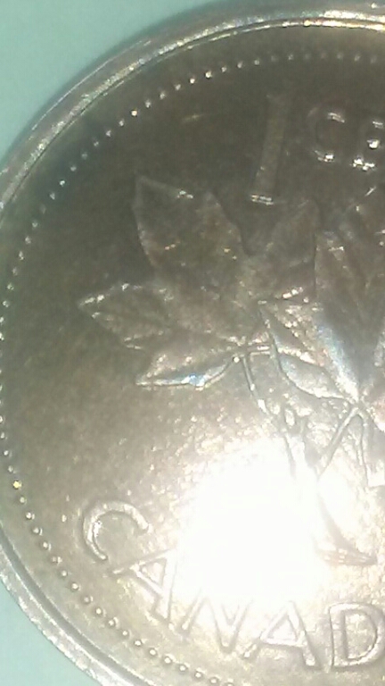 20180708_092610.jpg