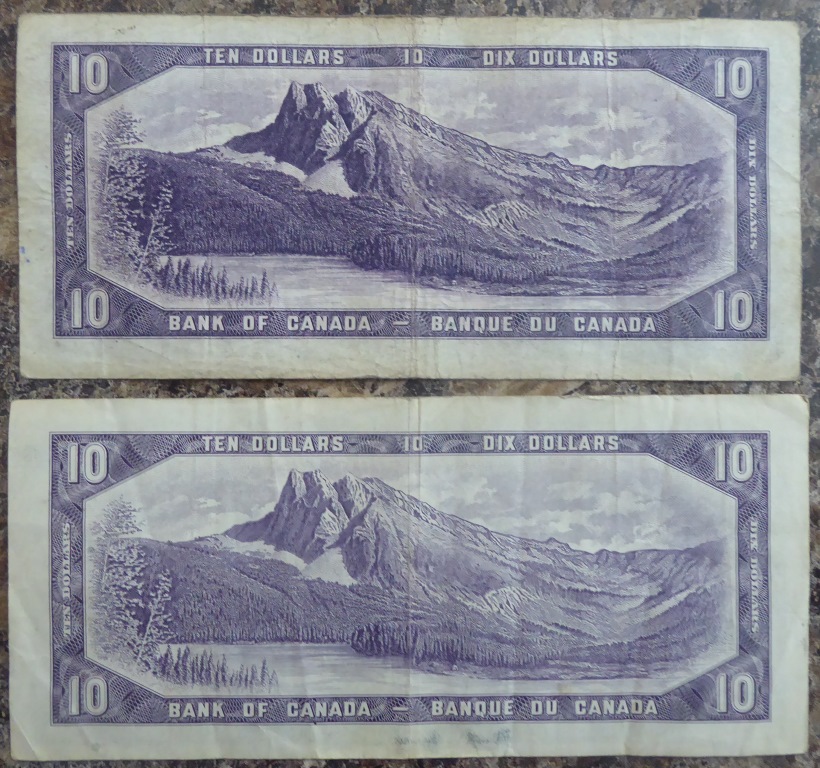 P1000350.JPG