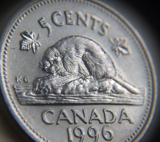 5 Cents 1996-Coin entrechoqué a la bouche du castor-1.JPG