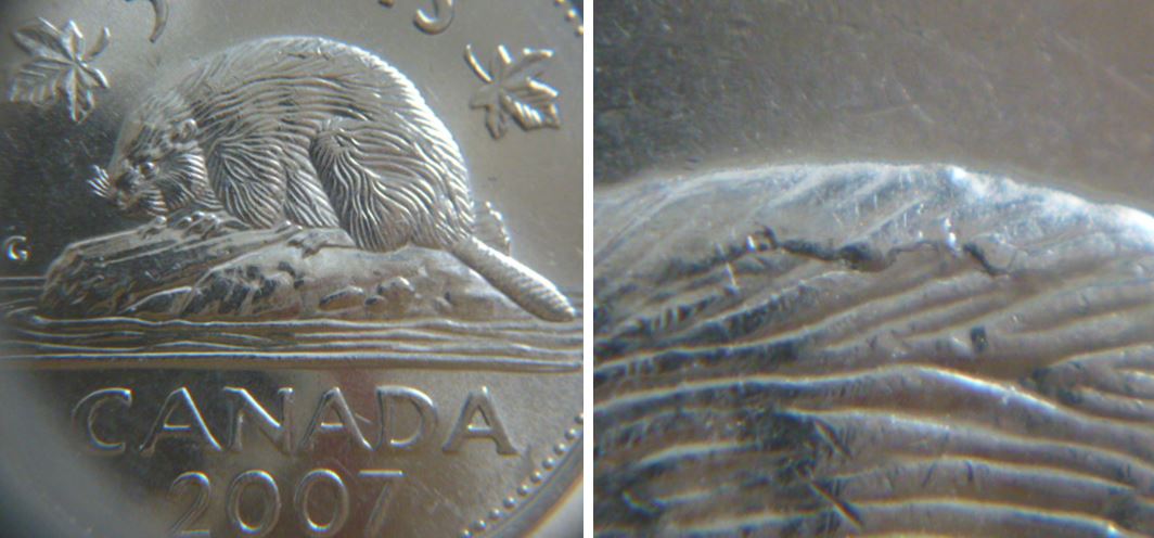 5 Cents 2007-Accumulation sur le dos du castor.JPG