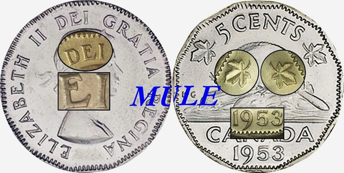 5 cents 1953 - NSF - Near Leaf