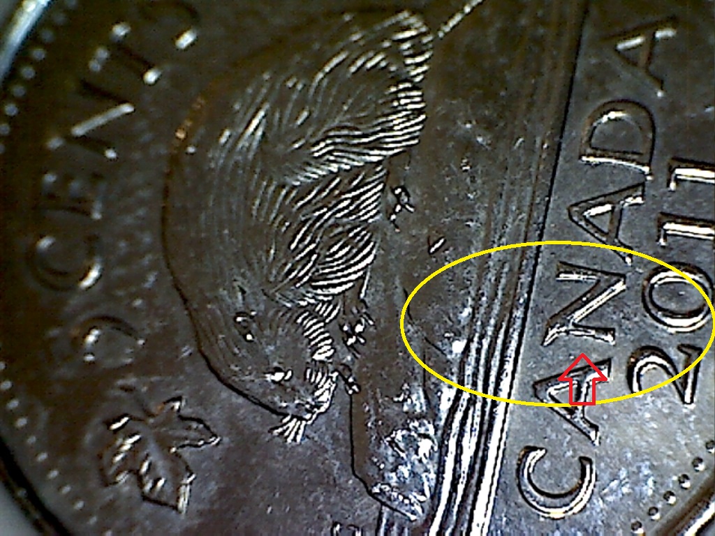 2011 Acc. sur N de CANADA B519002C.jpg