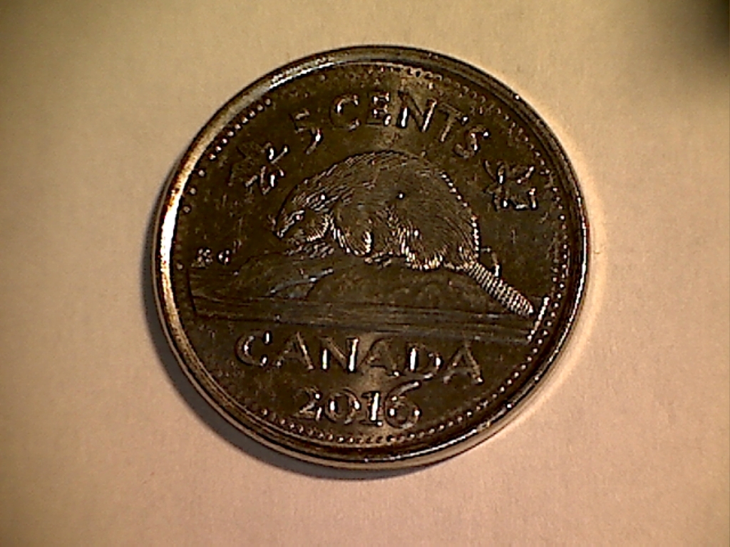 2016 Éclat sur le dos du Castor B519011C Revers.jpg