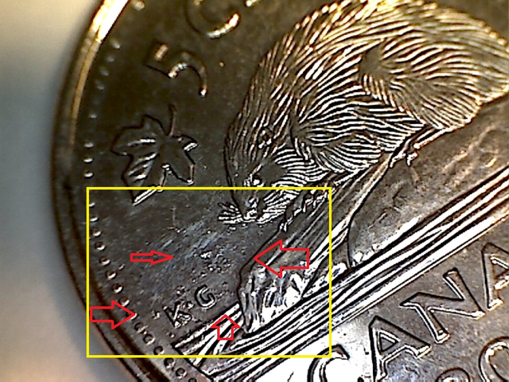 2016 Perles inc. et placage déficient B519013B 1 de 3.jpg
