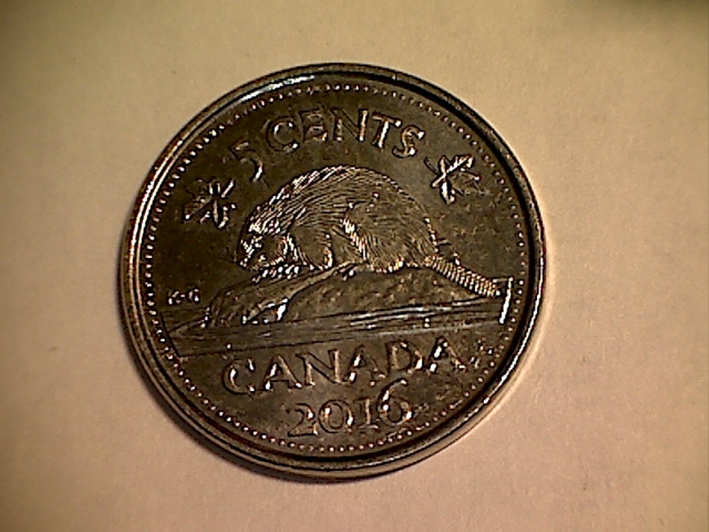 2016 Perles inc. et placage déficient B519015B Revers.jpg
