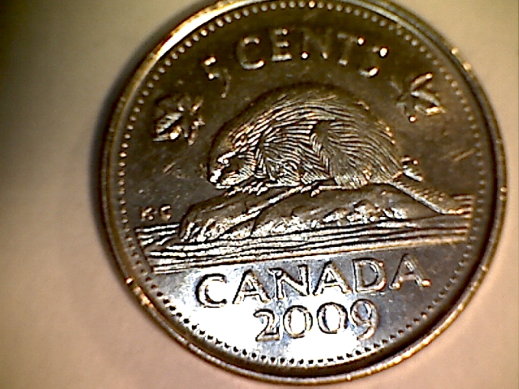 2009 Écl. sur K, Cents  et Date B519056C Revers.jpg