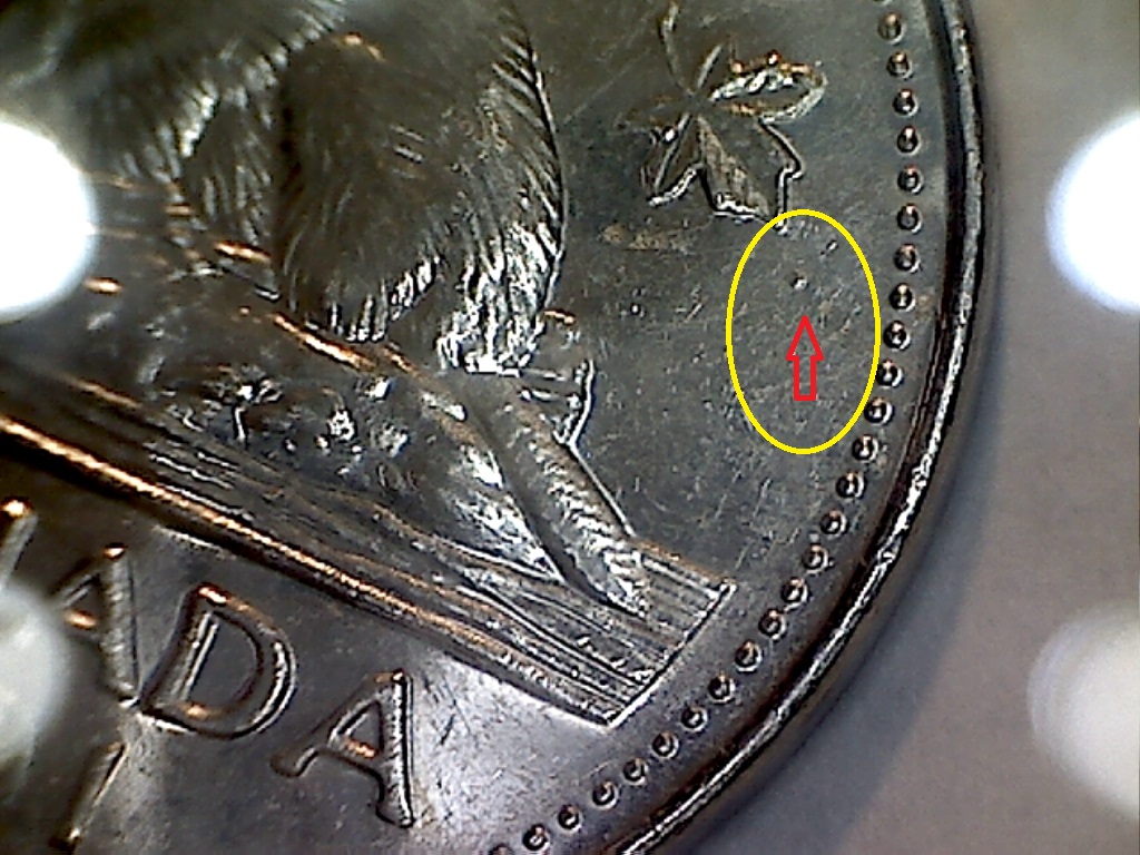2001 P Points près de feuille de dr. B519079C.jpg