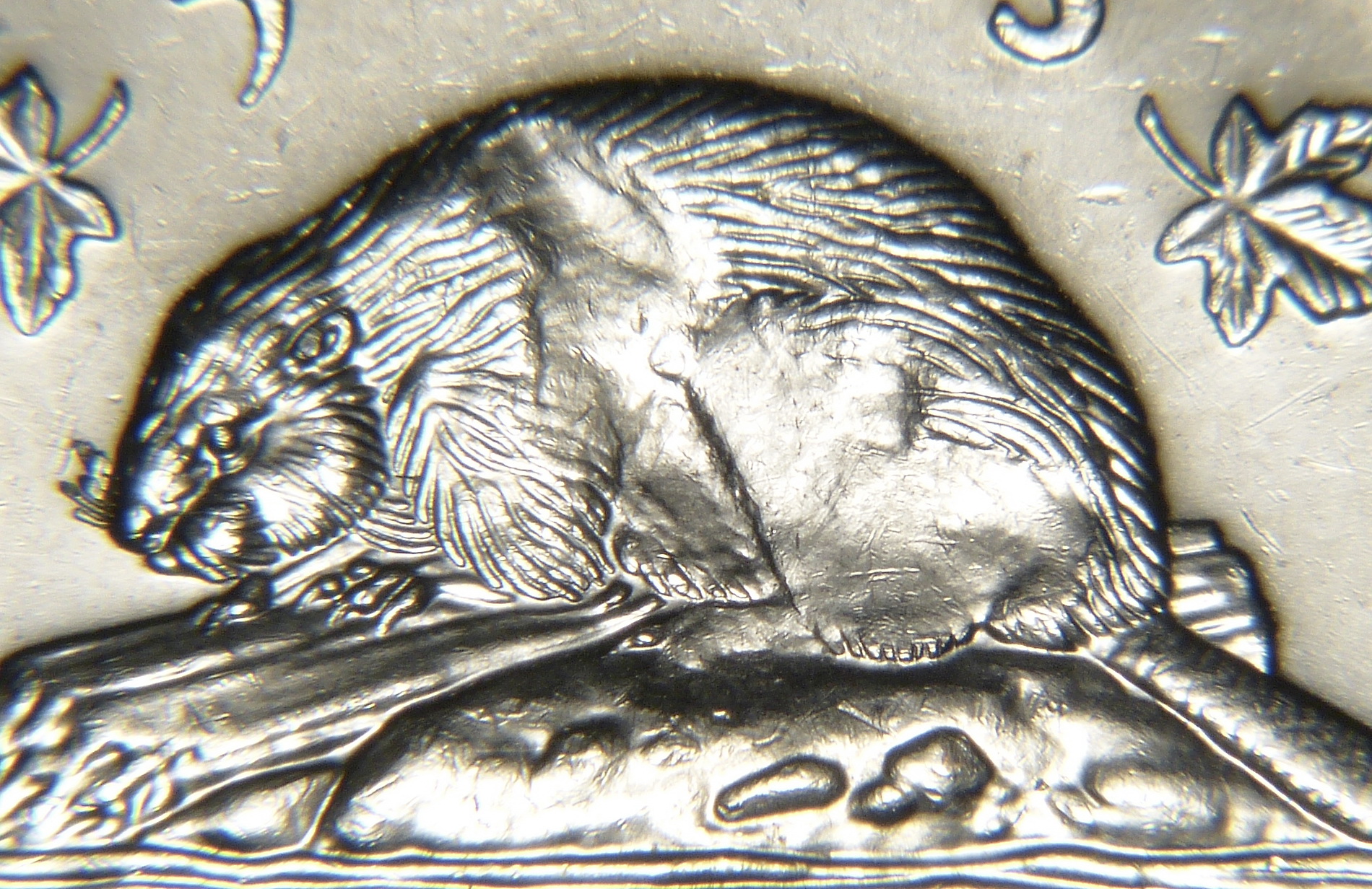 P1240453.JPG