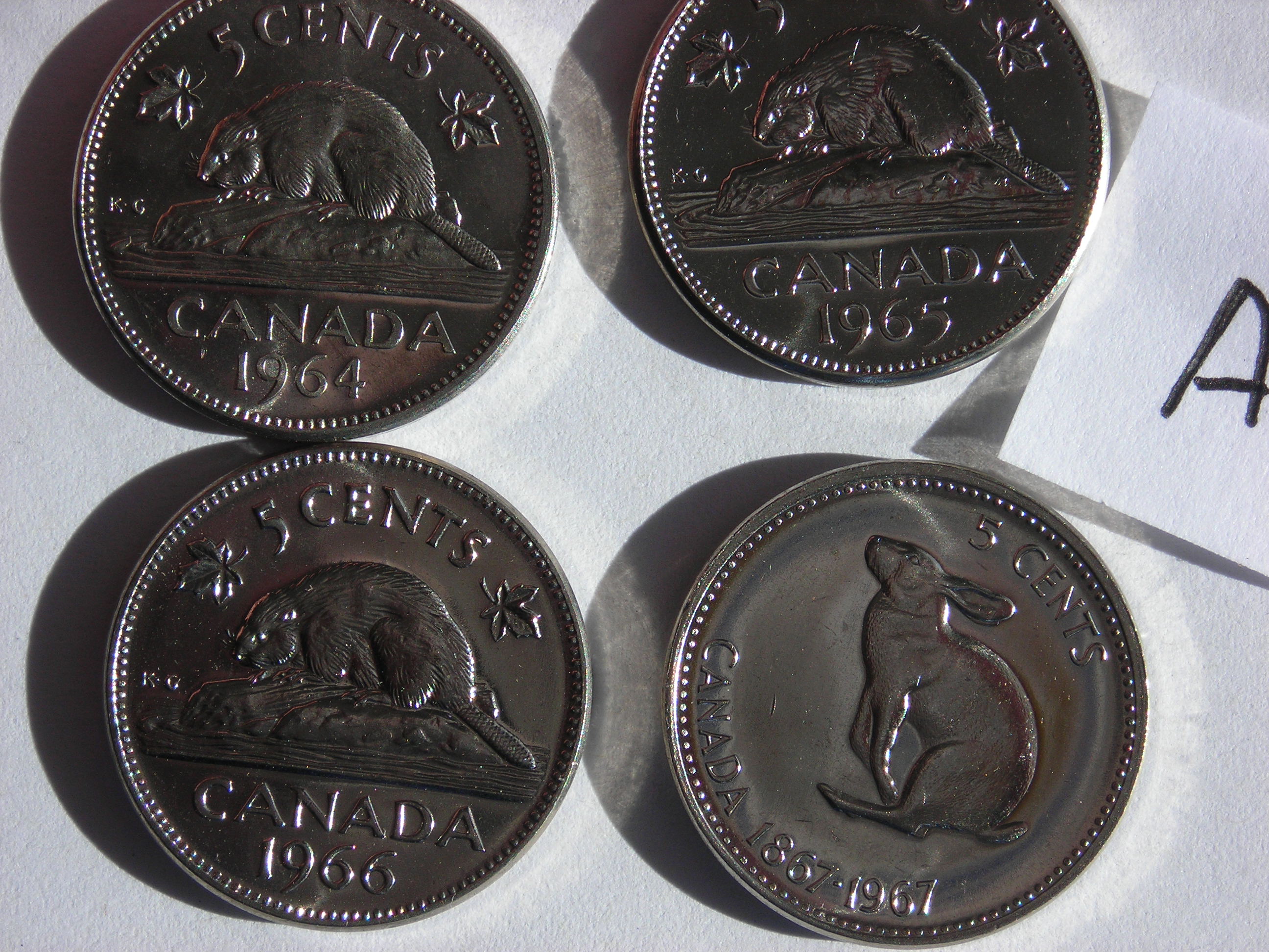 DSCN5458.JPG