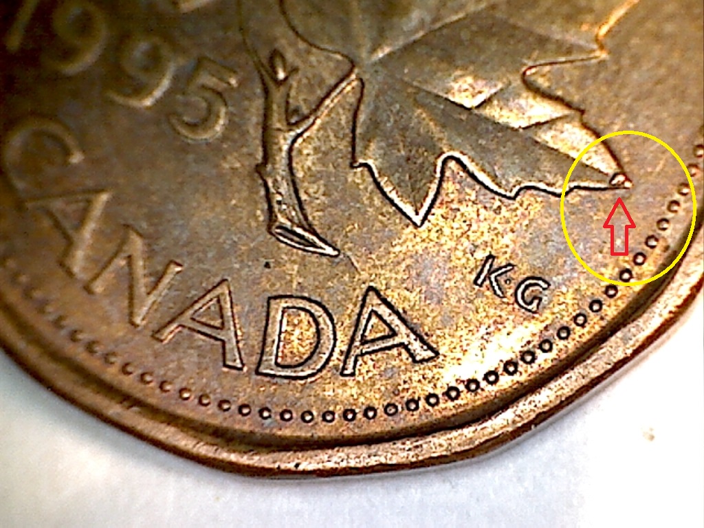 1995 Éclat bout feuil. dr, B019013C.jpg