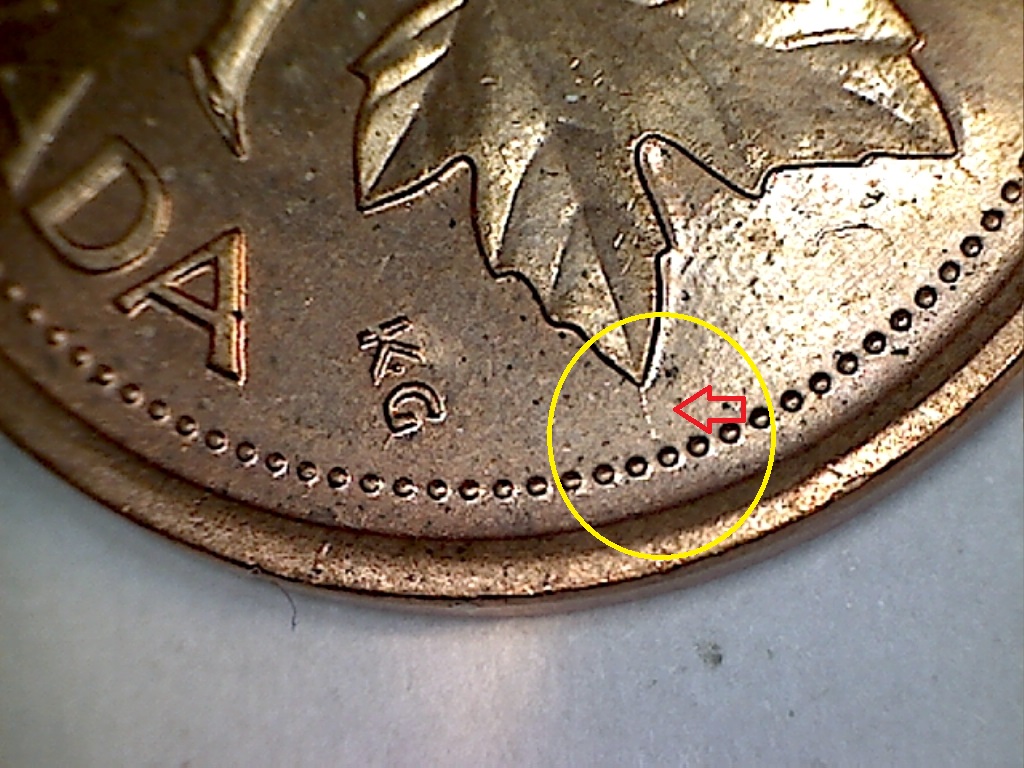 1999 Fend. feu. dr.,dessus 1,spike et éclat tige B019098B 1 de 3.jpg