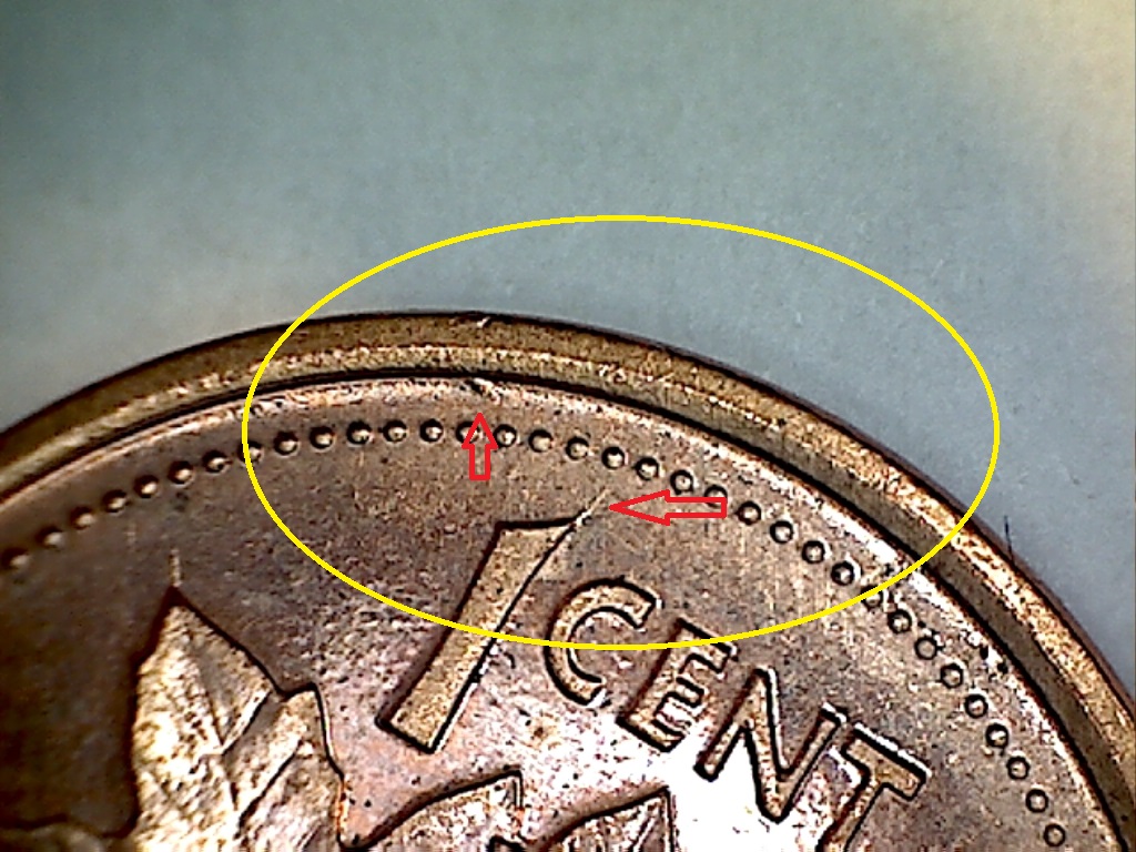 1999 Fend. feu. dr.,dessus 1,spike et éclat tige B019098B 2 de 3.jpg