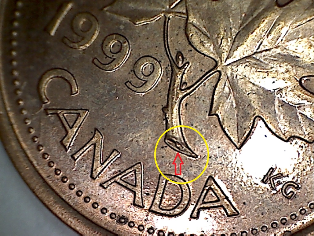 1999 Fend. feu. dr.,dessus 1,spike et éclat tige B019098B 3 de 3.jpg