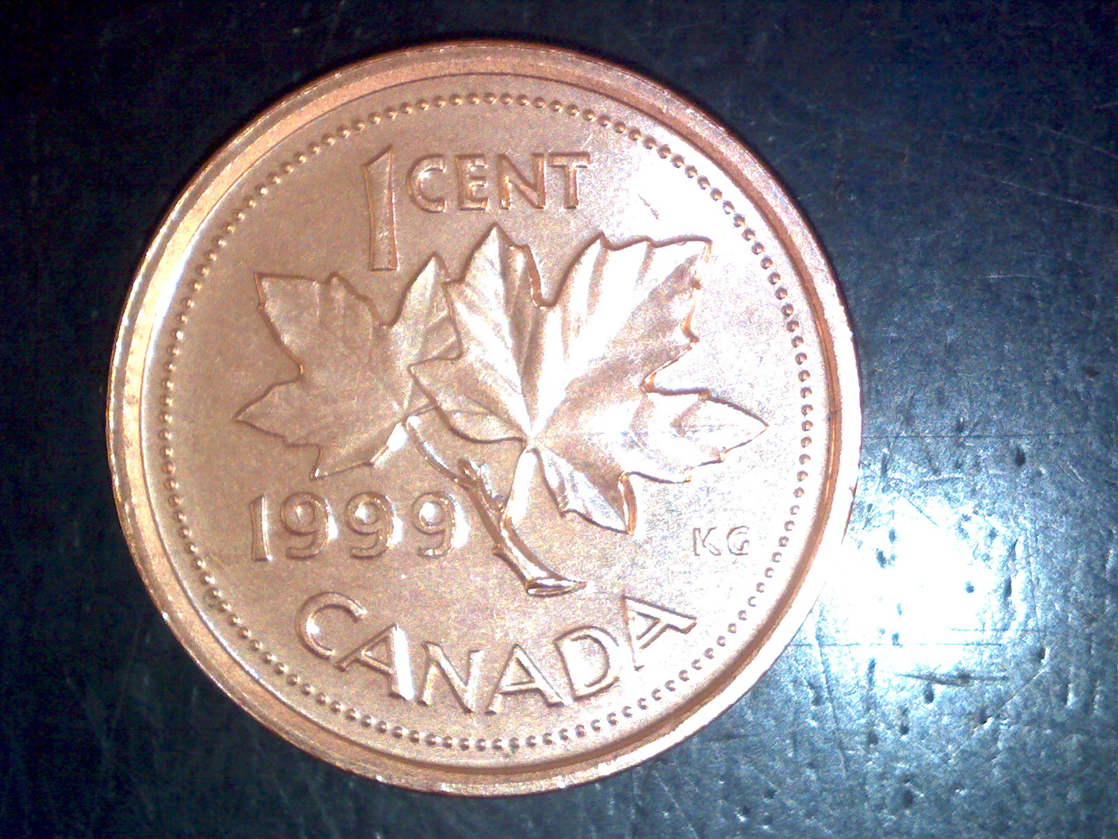 Image100.jpg