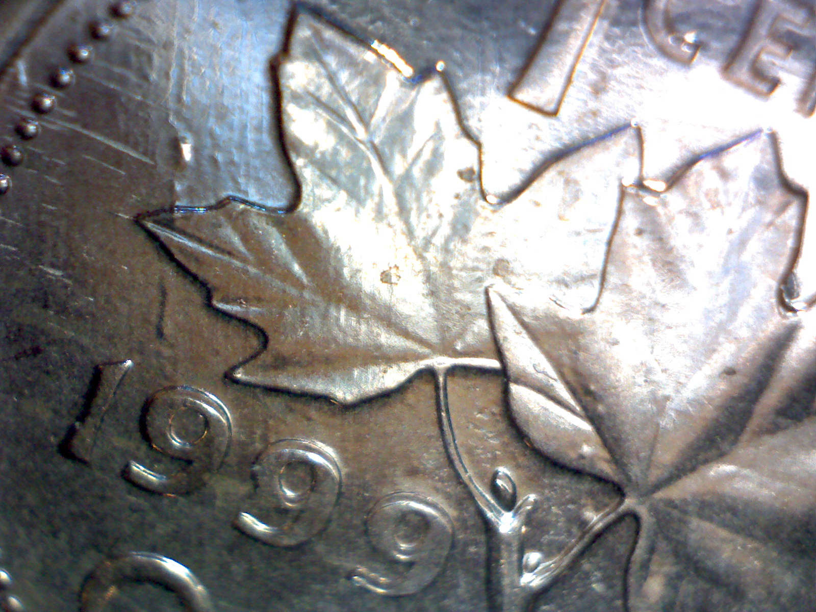 Image92.jpg