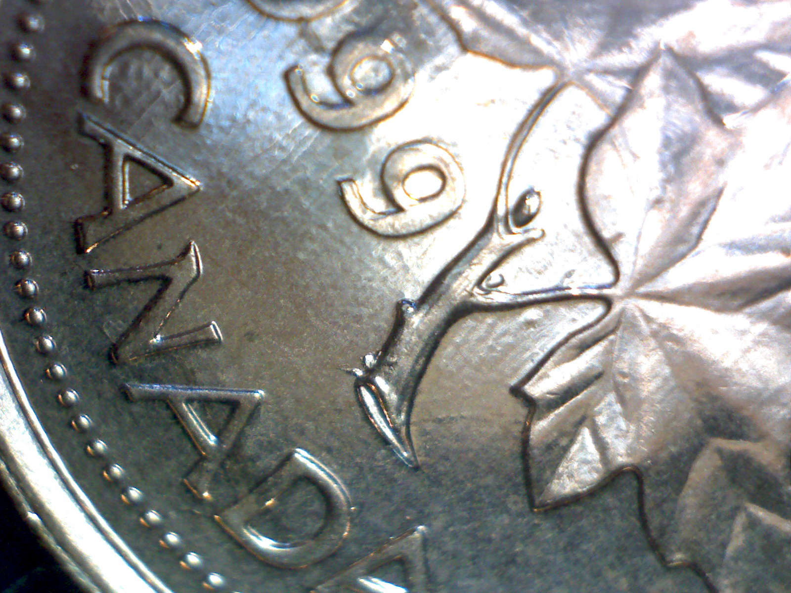 Image93.jpg