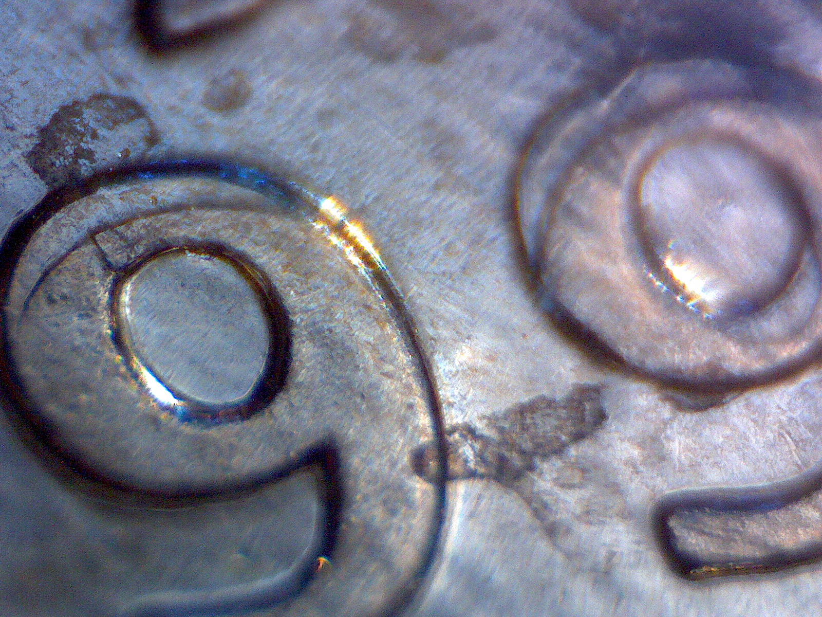 Image94.jpg