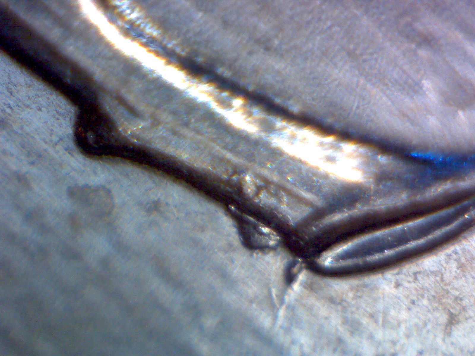 Image97.jpg