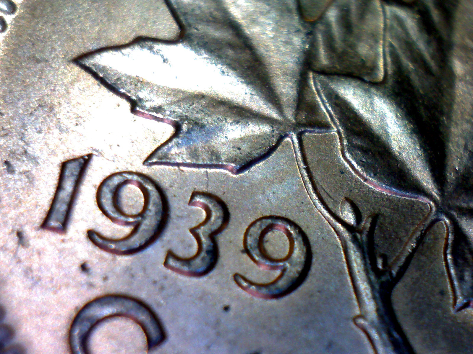 Image130.jpg