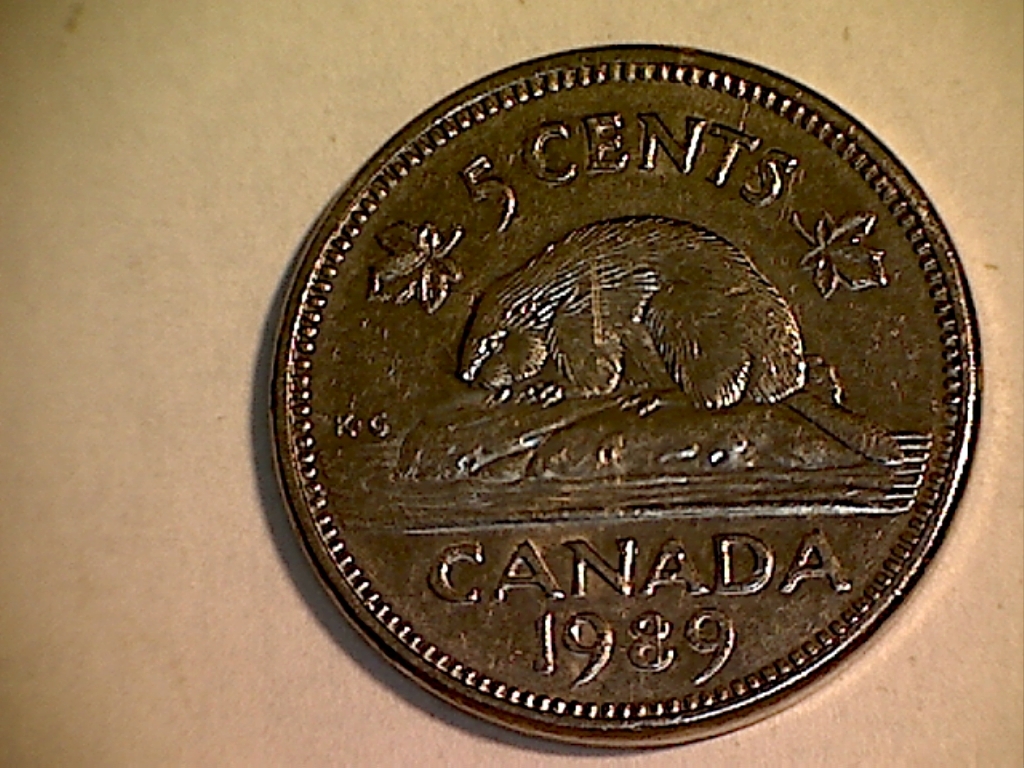 1989 Dbl 5 CENTS,Feuil. ga. et CA B519155C  Revers.jpg