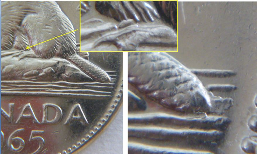 5 Cents 1965-Dépôt au bout de la queue+Éclat coin sous ventre du castor-2.JPG