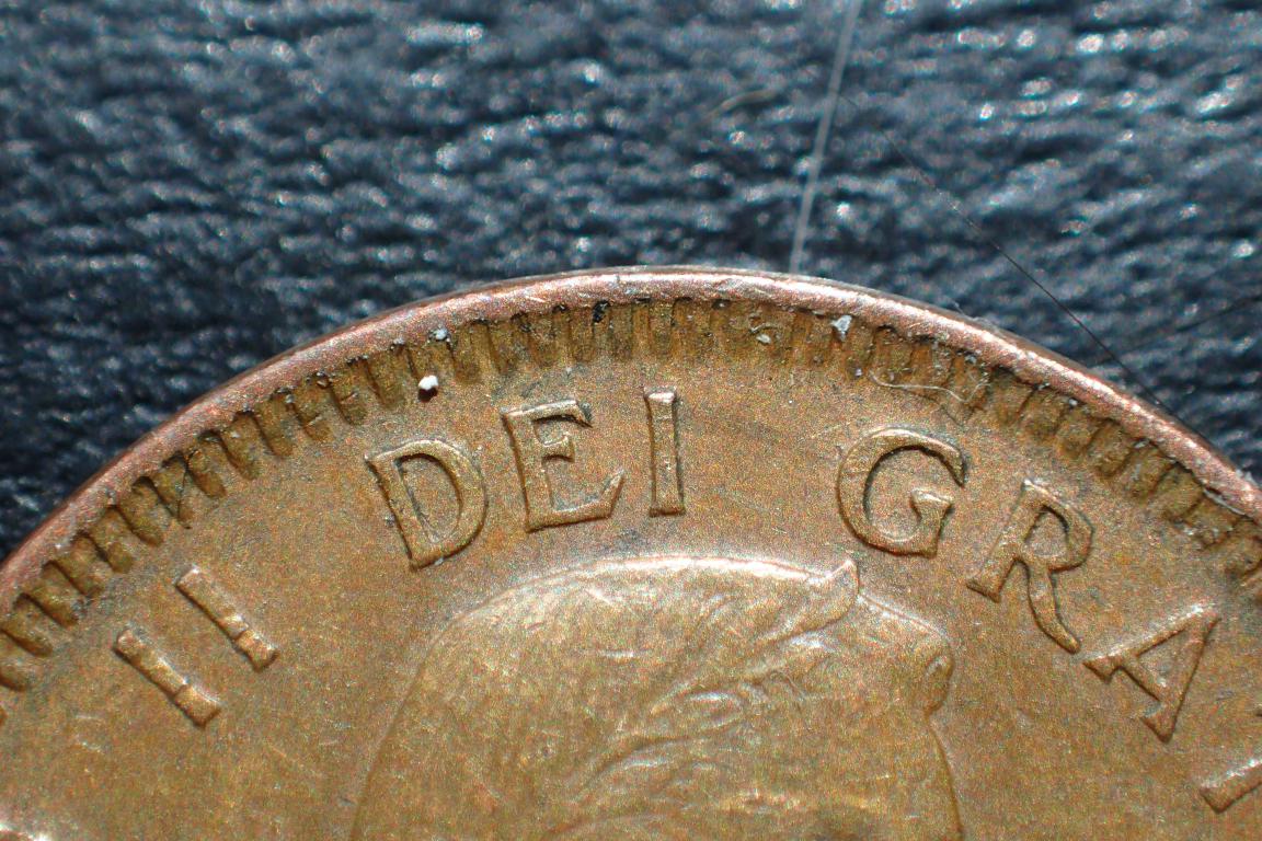 mini_P4160010.JPG