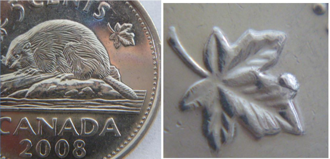 5 Cents 2008-Éclat de coin sur la feuille droite.JPG