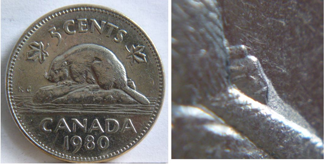 5 Cents 1980-Dépôt de métal sous le castor -entrechoqué sous son menton-1.JPG
