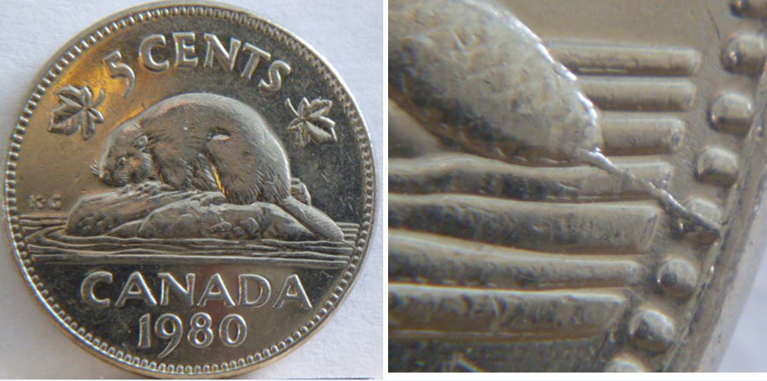 5 Cents 1980-Coin fendille a la queue du castor-1.JPG