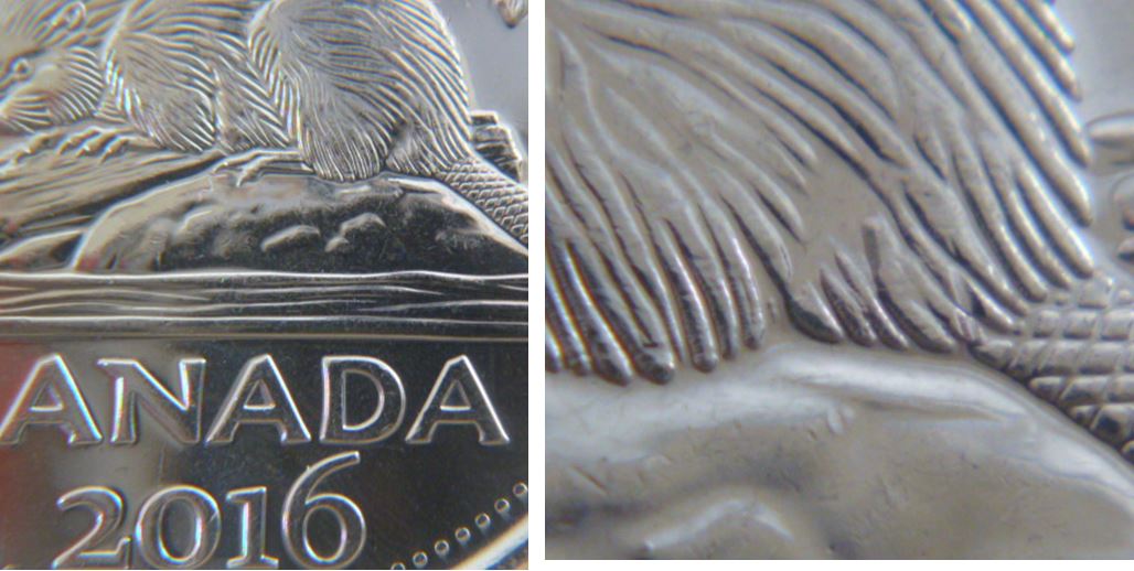 5 Cents 2016-Polisage excésif entre patte arrière et la queue-2.JPG