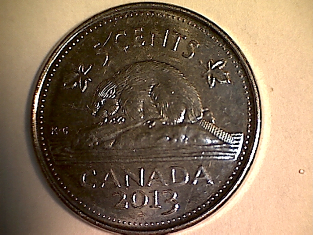 2013 Point sur patte de droite B519168C Revers.jpg
