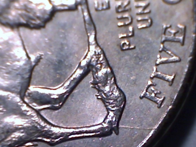 17551.jpg