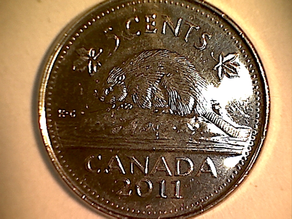2011 Éclat sur la tête B519175C Revers.jpg