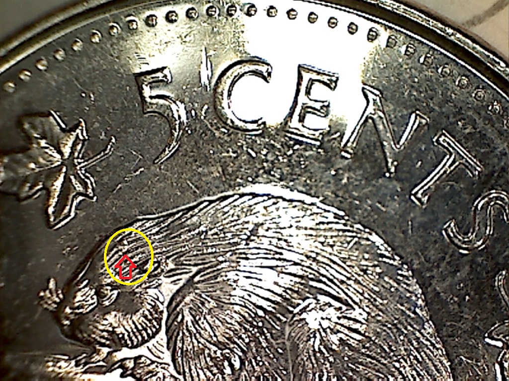 2011 Éclat sur la tête B519175C.jpg