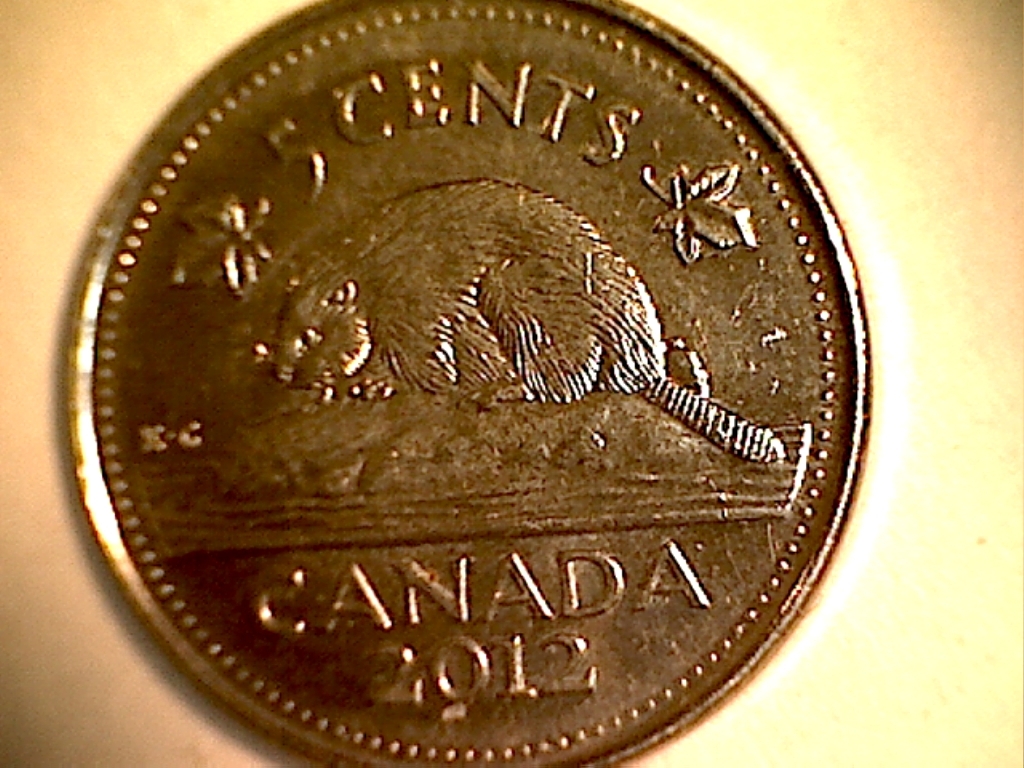 2012 Point au dessus de la tête du castor B519176C Revers.jpg