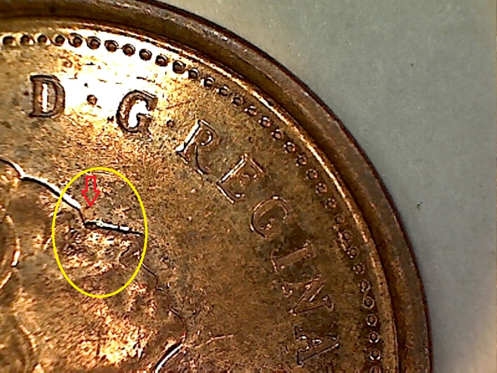 2002 P Éclat sur K de K.g et sur Nez B019190C 2 de 2.jpg