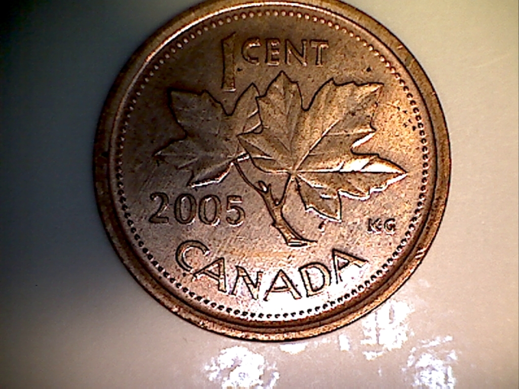 2005 Poit etre tige et feuille B019224C Revers.jpg